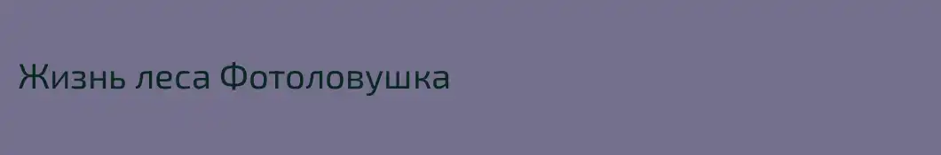 Жизнь леса Фотоловушка